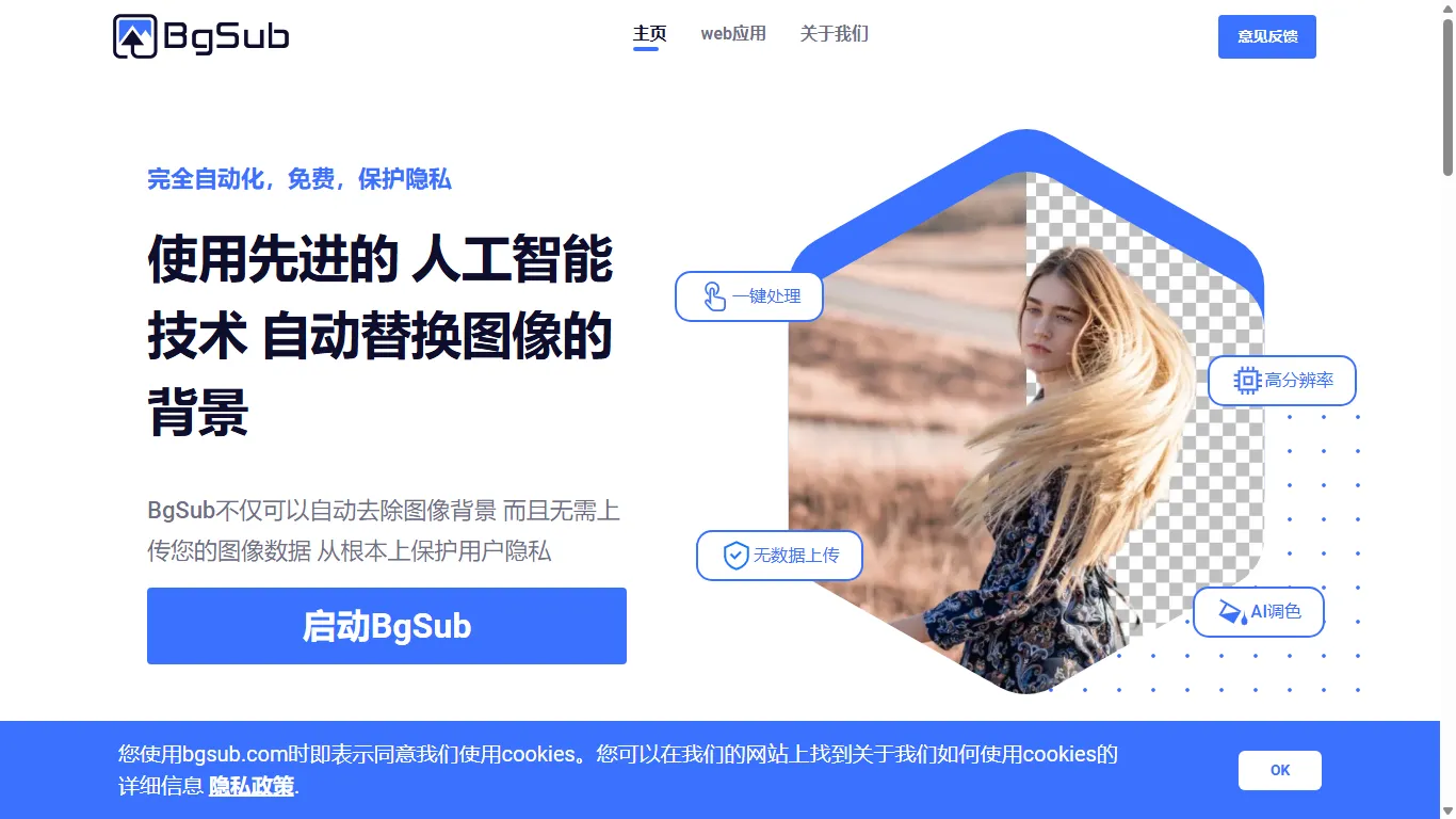 BgSub 封面图